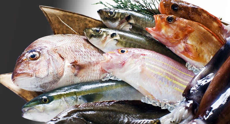 瀬戸内海の豊富な魚貝類が並んでいる